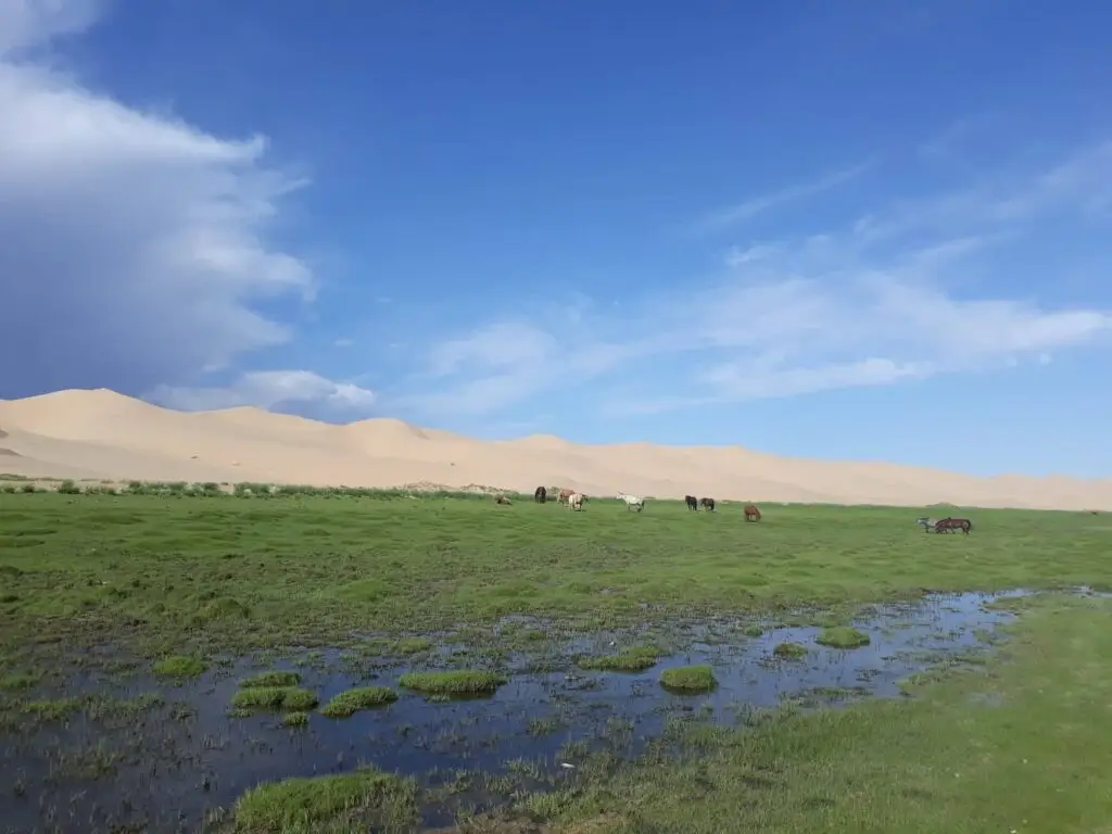 Gobi desert