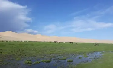 Gobi desert