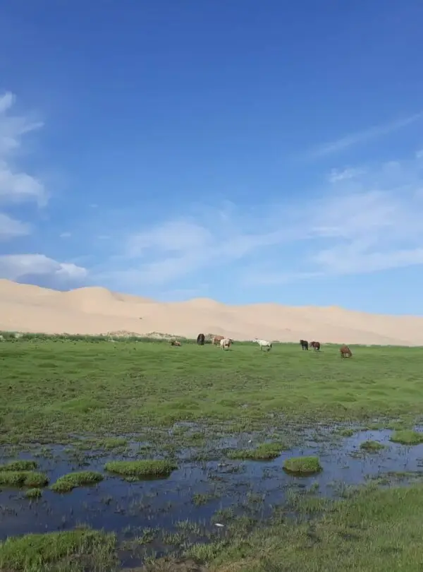 Gobi desert