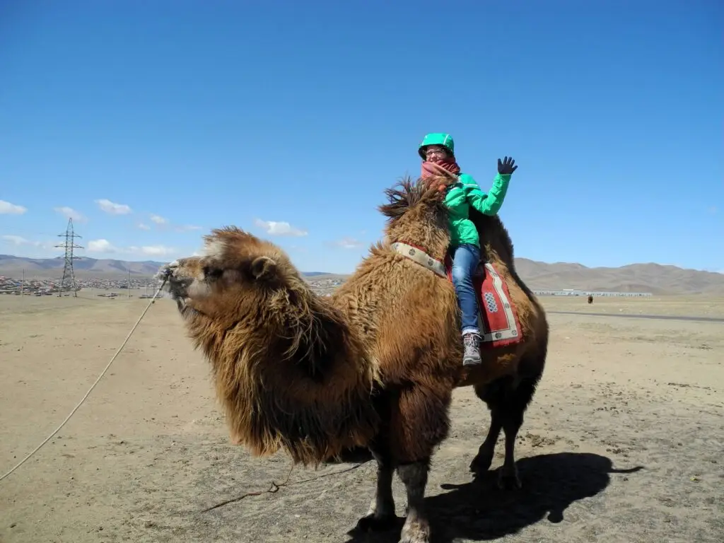 8DB52CA4 B8C3 4946 88CB 17B0B7E58301 1024x768