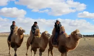 camel ride