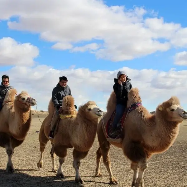 camel ride
