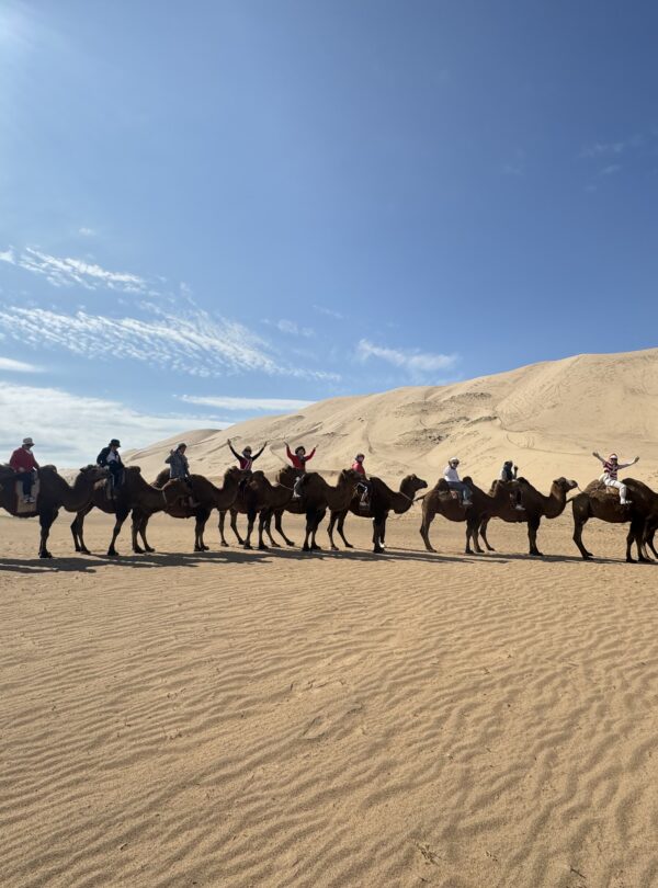Gobi Desert tour