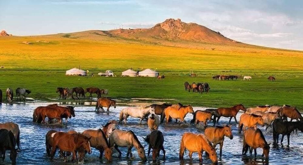 cropped 219d6ae40d54a03813d64d4e3e5a2f94.jpeg