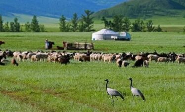 Central Mongolia