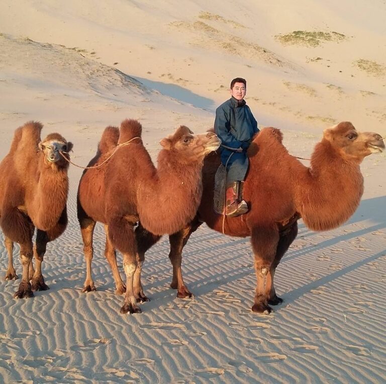 Gobi desert tour mongolia
