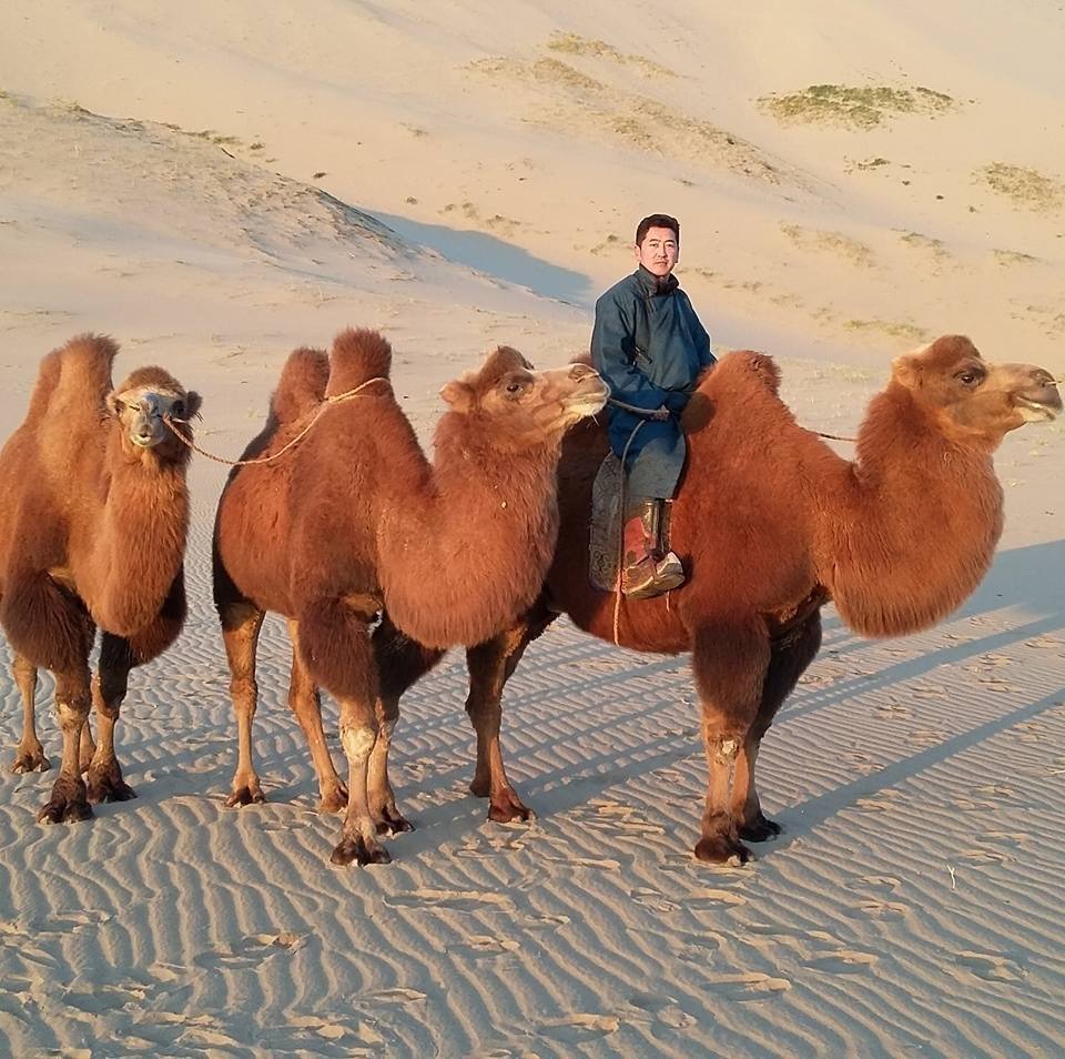 Gobi desert tour mongolia