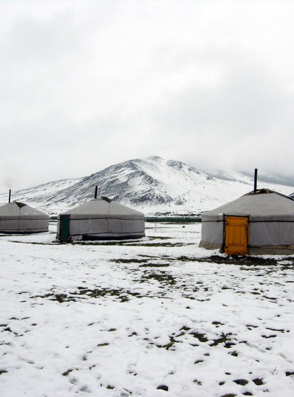 Gobi desert Mongolia